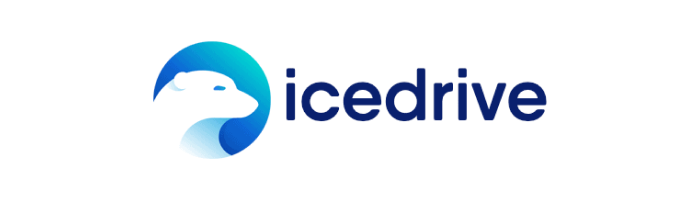 Best private cloud storage: Icedrive.