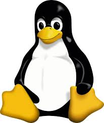 linux logo 