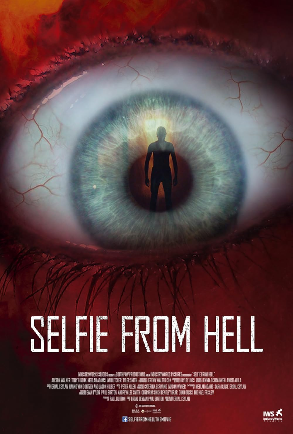 Selfie from hell movie poster