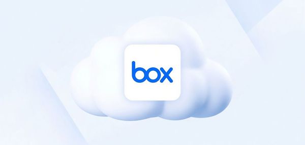 Preisgestaltung Box: Kosten für Privatpersonen und Unternehmen sowie Alternativen